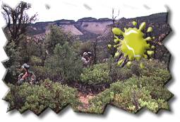 Hiking